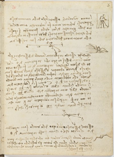 Codice sul volo degli uccelli, c. 1505-06, manoscritto su carta, cc. 18, foglio 5 recto da Leonardo da Vinci